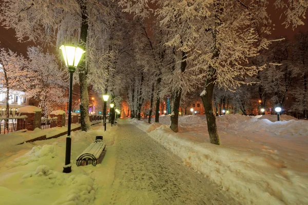 Parque de inverno à noite — Fotografia de Stock