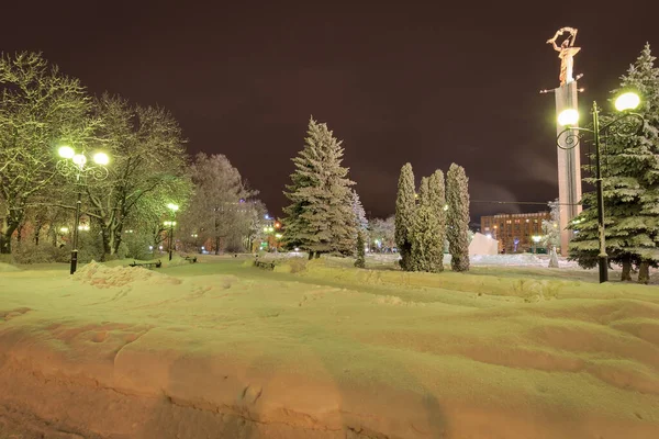 Зимний парк ночью — стоковое фото