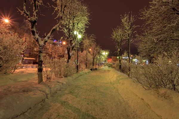 Зимний парк ночью — стоковое фото