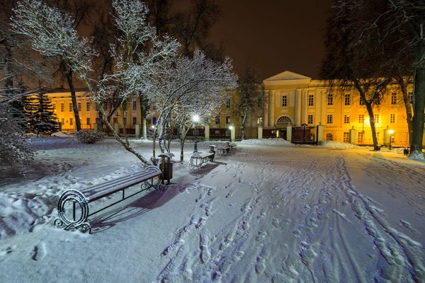 Park zimą w nocy — Zdjęcie stockowe