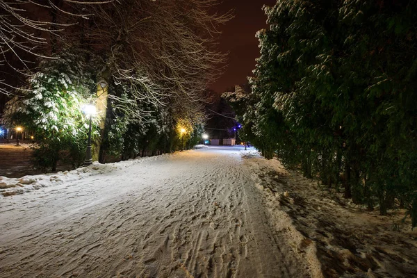 Parque de invierno por la noche —  Fotos de Stock