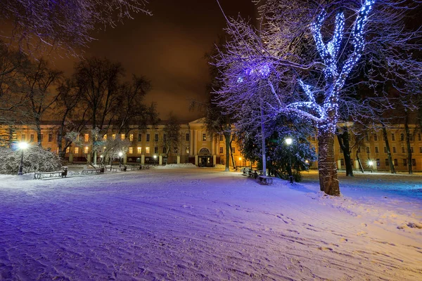 Parque de inverno à noite — Fotografia de Stock