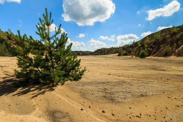 砂のビーチ、木々や丘のある採石場 — ストック写真