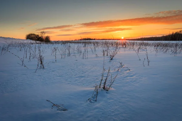 Belo pôr do sol com grama coberta de gelo na temporada de inverno . — Fotografia de Stock