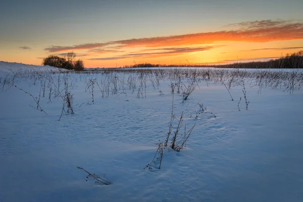 Belo pôr do sol com grama coberta de gelo na temporada de inverno . — Fotografia de Stock