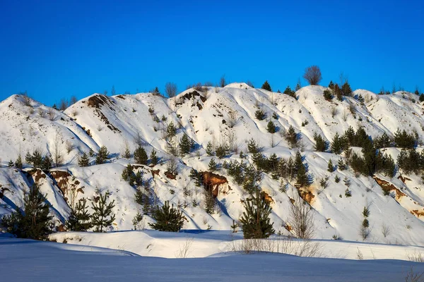 Colinas cobertas de neve no inverno com pinheiros e árvores . — Fotografia de Stock