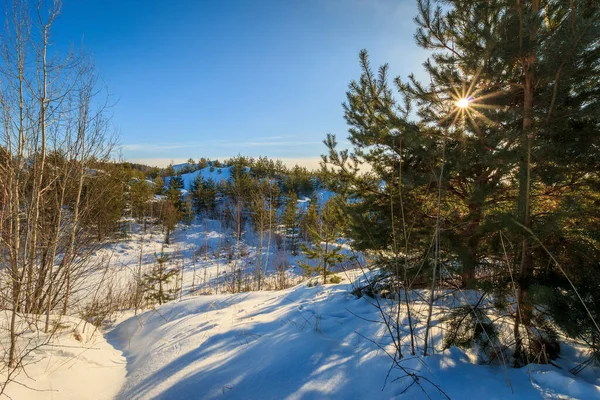 Puesta de sol en las colinas cubiertas de nieve en invierno con pinos . — Foto de Stock