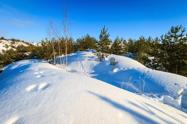 Colinas cubiertas de nieve en invierno con pinos en primer plano . — Foto de Stock