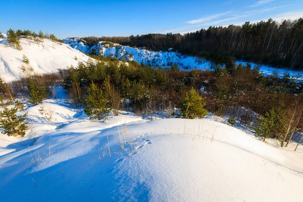 Schneebedeckte Hügel im Winter mit Kiefern im Vordergrund. — Stockfoto