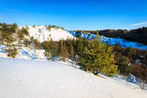 Schneebedeckte Hügel im Winter mit Kiefern im Vordergrund. — Stockfoto