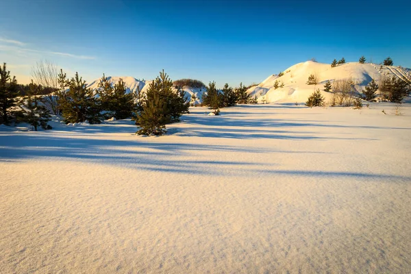 Paisaje de colinas cubiertas de nieve en invierno — Foto de Stock