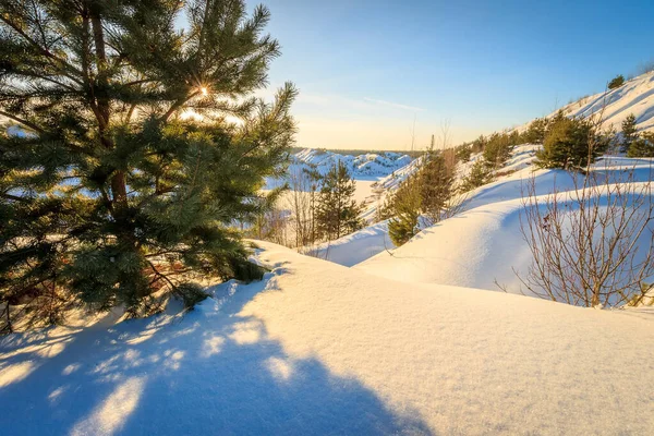 Puesta de sol en las colinas cubiertas de nieve en invierno con pinos . — Foto de Stock
