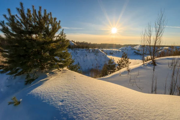 Pôr do sol em colinas cobertas de neve no inverno com pinheiros . — Fotografia de Stock