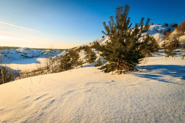 Colinas cubiertas de nieve en invierno con pinos en primer plano . — Foto de Stock