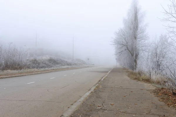Road in fog — Stock Photo, Image