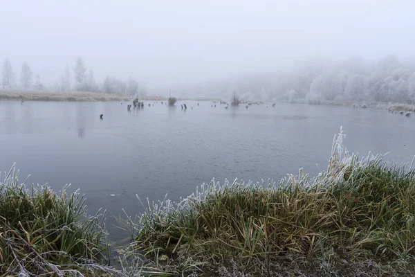 Pond in the fog — Stock Photo, Image