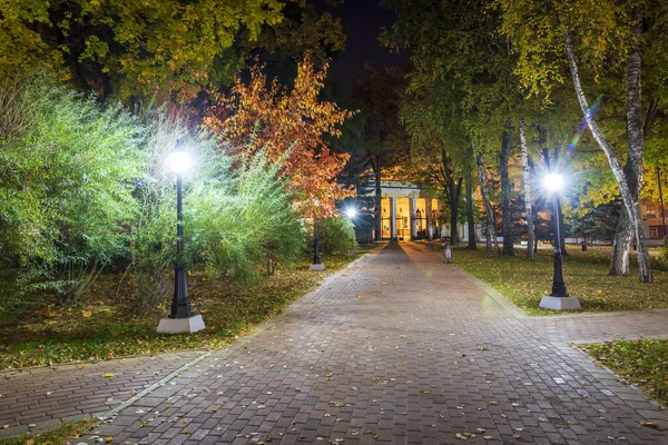 Nachtpark in de herfst met omgevallen gele bladeren. — Stockfoto