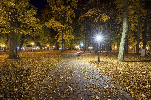 Parque noturno no outono com folhas amarelas caídas . — Fotografia de Stock