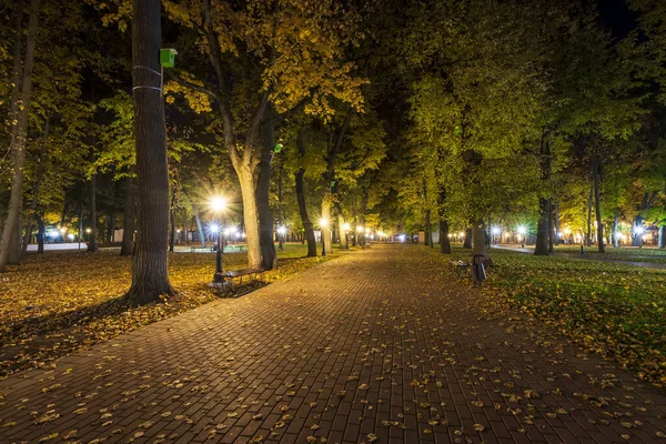 Nachtpark in de herfst met omgevallen gele bladeren. — Stockfoto