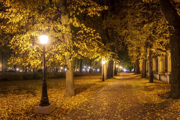 Nachtpark im Herbst mit abgefallenen gelben Blättern. — Stockfoto