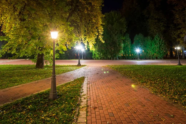 Nachtpark in de herfst met omgevallen gele bladeren. — Stockfoto