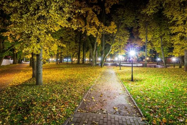 Parque noturno no outono com folhas amarelas caídas . — Fotografia de Stock