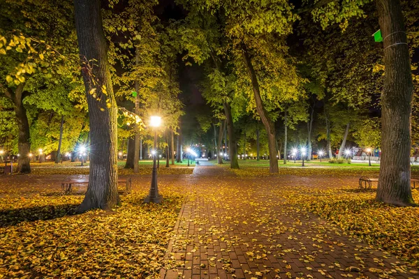 Parque noturno no outono com folhas amarelas caídas . — Fotografia de Stock