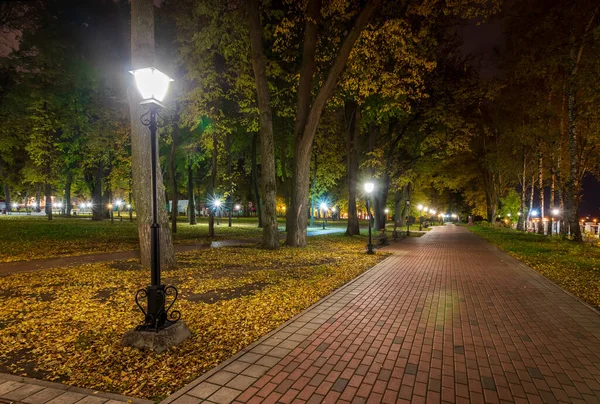 Parque nocturno en otoño con hojas amarillas caídas . — Foto de Stock