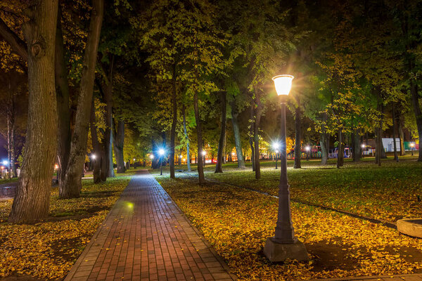 Night park in autumn with fallen yellow leaves.