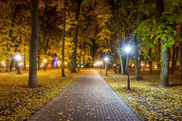 Parque noturno no outono com folhas amarelas caídas . — Fotografia de Stock