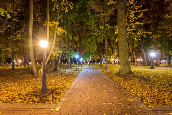 Parque noturno no outono com folhas amarelas caídas . — Fotografia de Stock