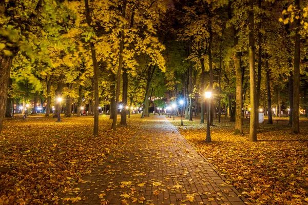 Ночной парк осенью с опавшими жёлтыми листьями . — стоковое фото