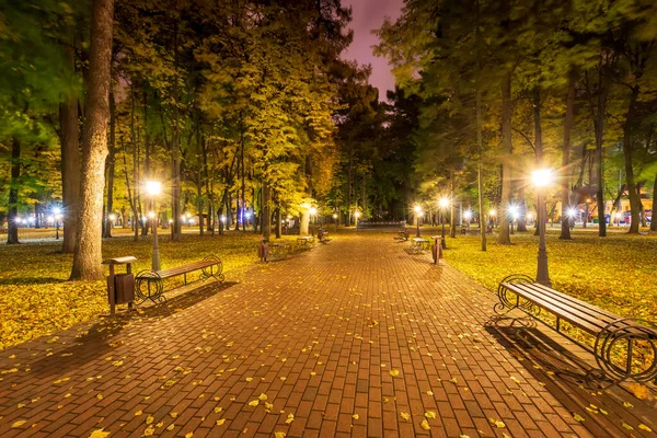 Parque nocturno en otoño con hojas amarillas caídas . — Foto de Stock