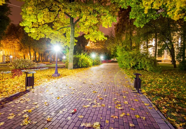 Park nocny jesienią z opadłymi żółtymi liśćmi. — Zdjęcie stockowe
