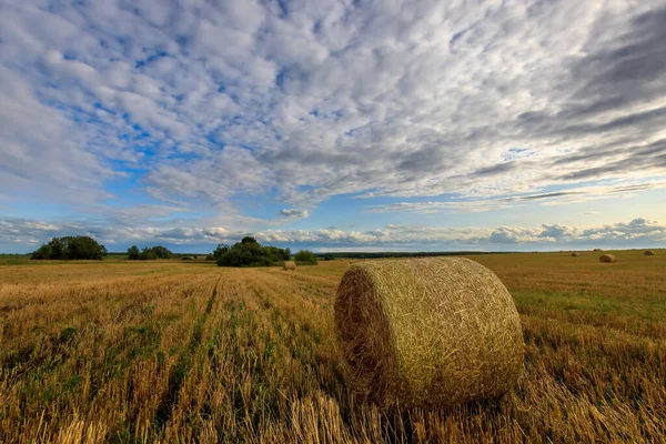 Szénaboglyák az őszi szezonban. — Stock Fotó