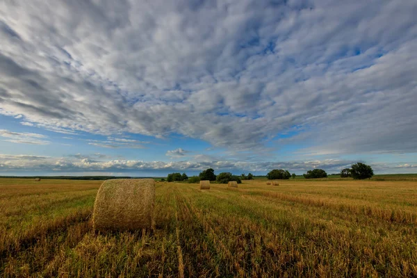 Hooibergen op het veld in het najaar. — Stockfoto