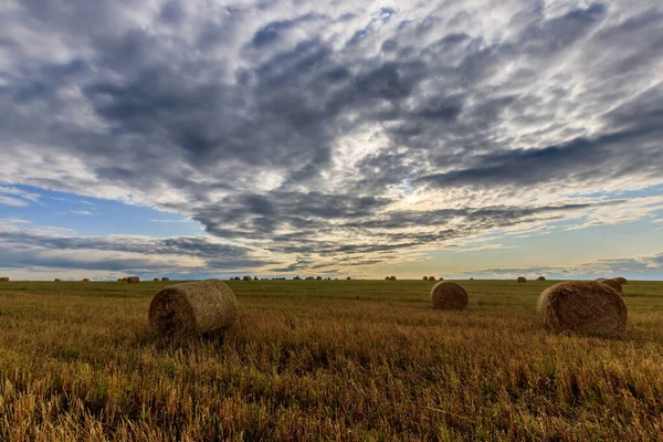 Sonbahar sezonunda samanlıkta saman yığınları. — Stok fotoğraf