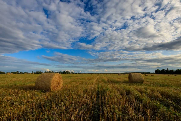 Hooibergen op het veld in het najaar. — Stockfoto