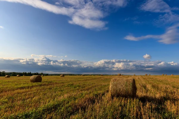 Sonbahar sezonunda samanlıkta saman yığınları. — Stok fotoğraf