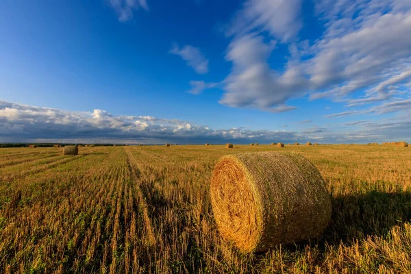 Hooibergen op het veld in het najaar. — Stockfoto