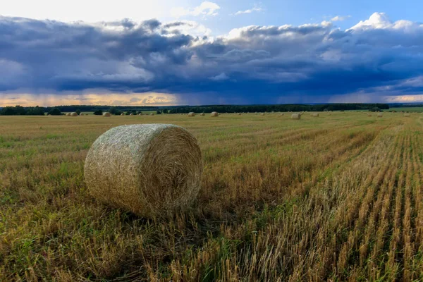 Hooibergen op het veld in het najaar. — Stockfoto