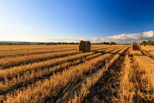 Hooibergen op het veld in het najaar. — Stockfoto