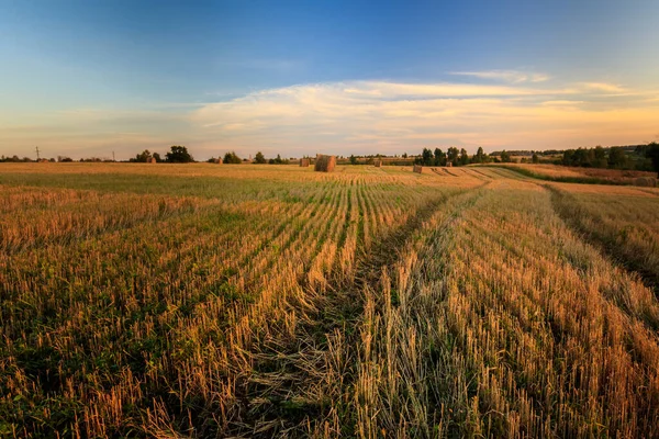 Haystacks on the field in Autumn season. — Stock Photo, Image