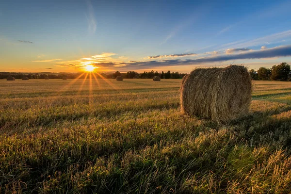 Haystacks на поле в осенний сезон . — стоковое фото