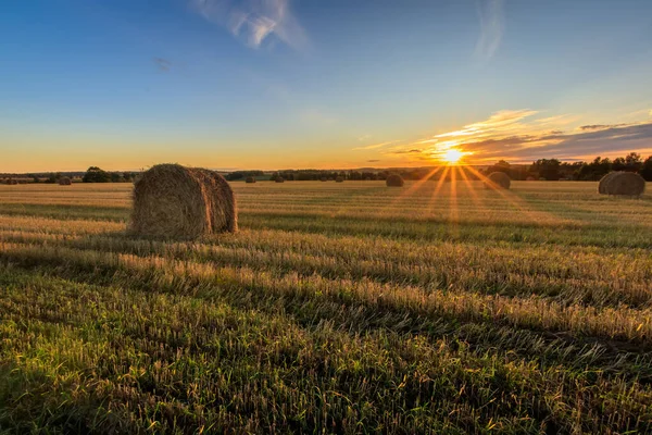 Heuhaufen auf dem Feld im Herbst. — Stockfoto