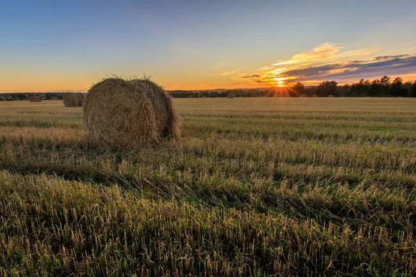 Heuhaufen auf dem Feld im Herbst. — Stockfoto