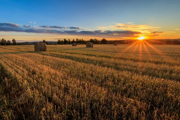 Haystacks på fältet under höstsäsongen. — Stockfoto