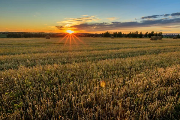 Pile in campo nella stagione autunnale . — Foto Stock