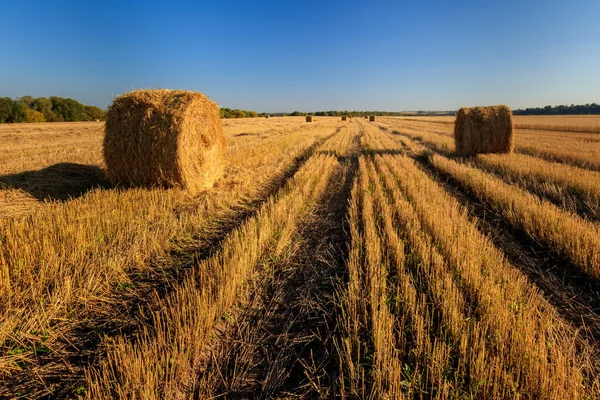 Hooibergen op het veld in het najaar. — Stockfoto