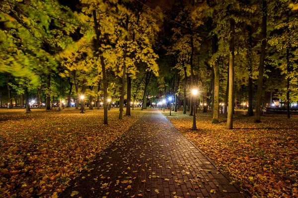 Nachtpark im Herbst mit abgefallenen gelben Blättern. — Stockfoto